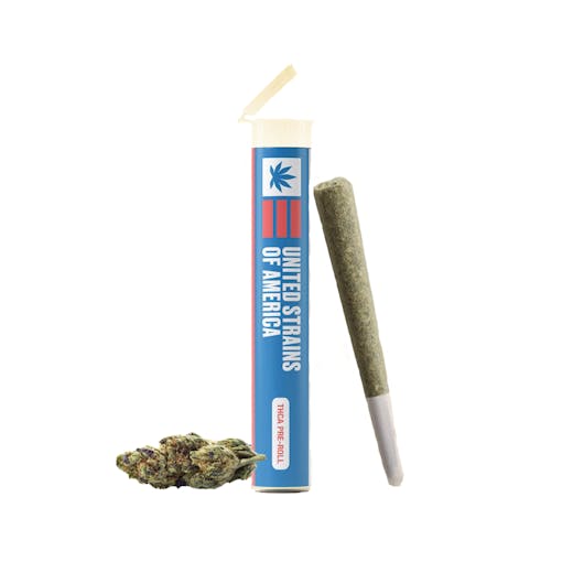 A 1g Mimosa pre-rolled joint leans against it's open doob tube, with a Mimosa flower nug sitting nearby